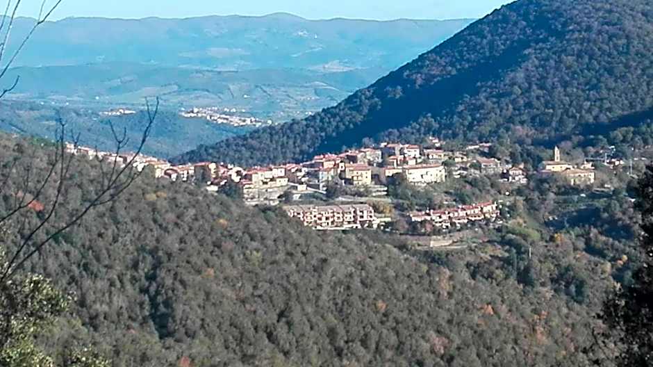 Alla Meria