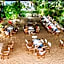 Dhow Inn Boutique Hotel