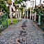 Emerald Tropical Palms B & B