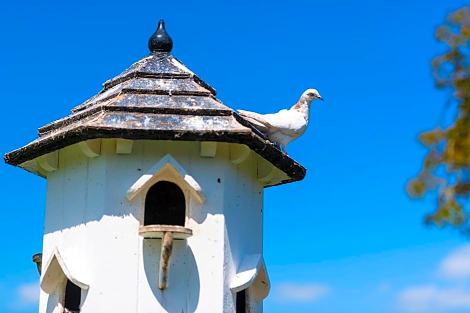 The Red Lion Hinxton