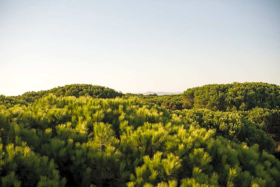 CSA Hotel Beach & Park