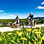 AHORN Hotel Am Fichtelberg