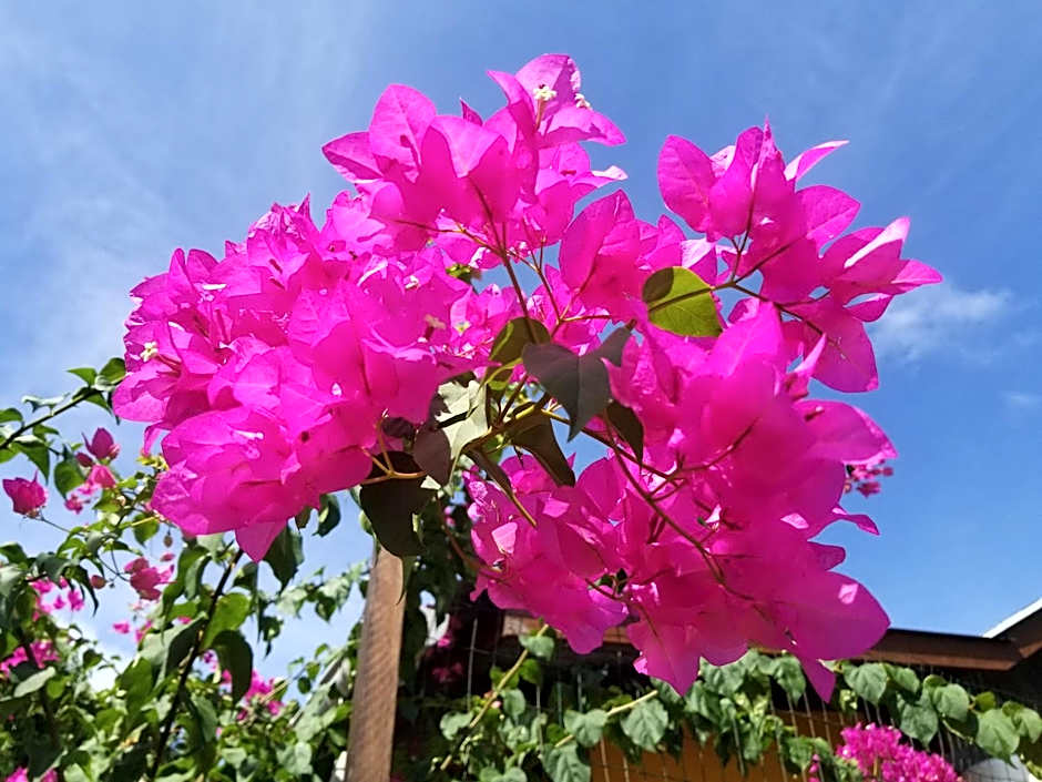 Ma Chambre d’Hôte