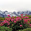 Vredehoek Guest Farm