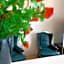 38 Aira Hotels