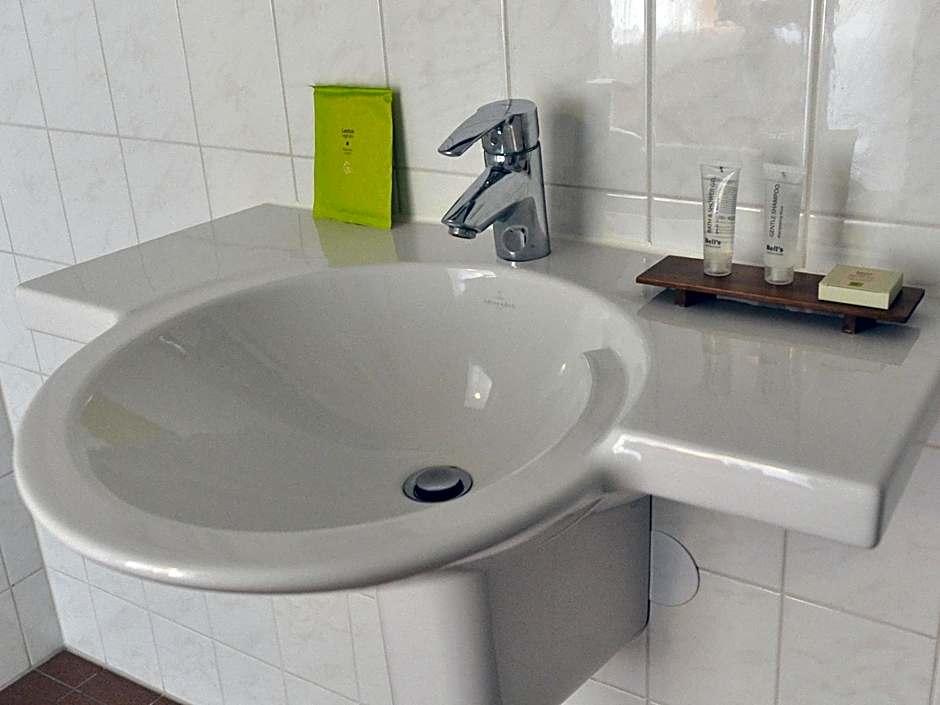 de Brabantse Biesbosch