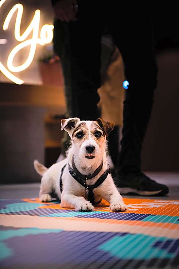 You Hotel Deauville - Handwritten Collection