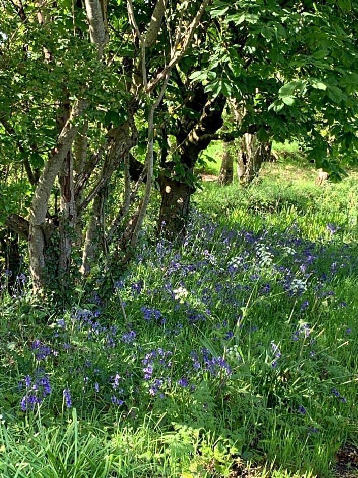 The Old Dairy at Walkmill Farm