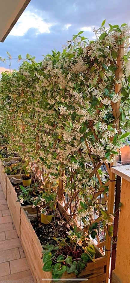 In Terrazza Da Giusy