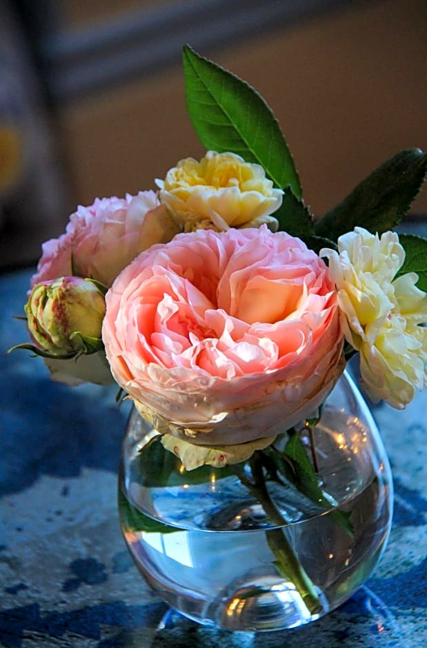 Manoir de Beauregard - Cunault