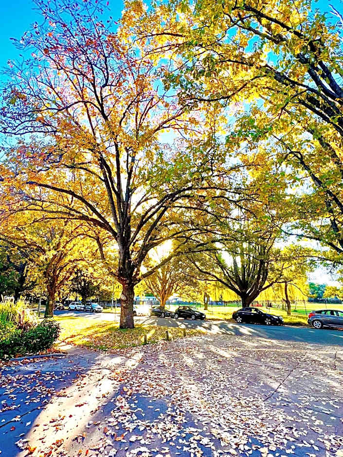 Forrest Hotel & Apartments