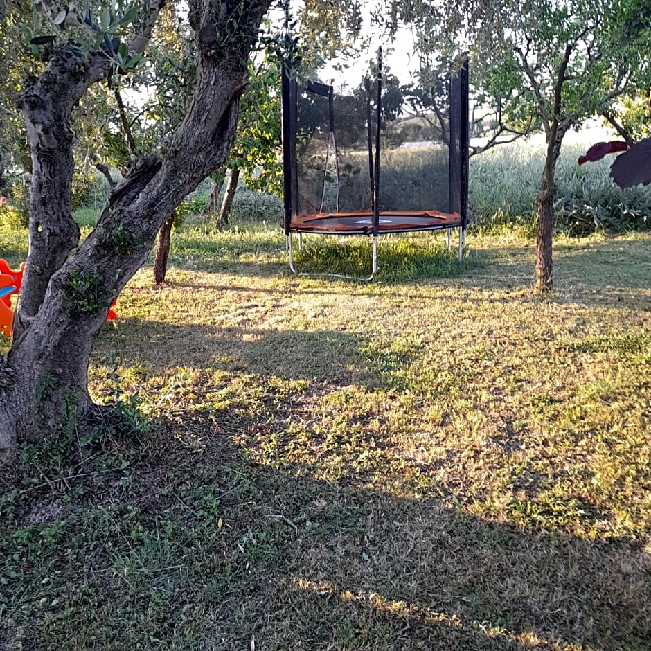 Casale della rosa