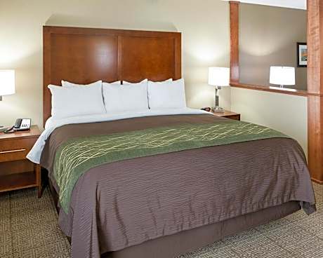 1 King Bed, Suite, Nonsmoking, Accessible