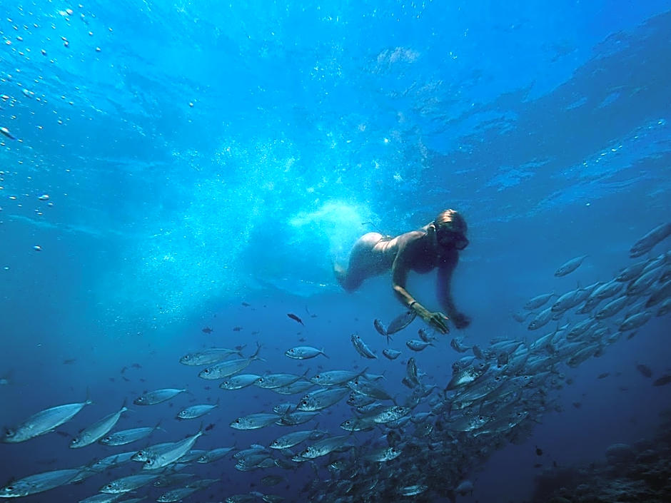 Enigmatic Hotel Experience