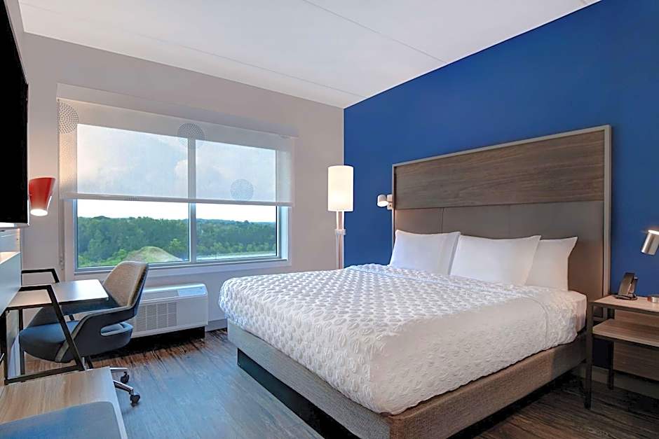 Tru By Hilton Franklin Cool Springs Nashville