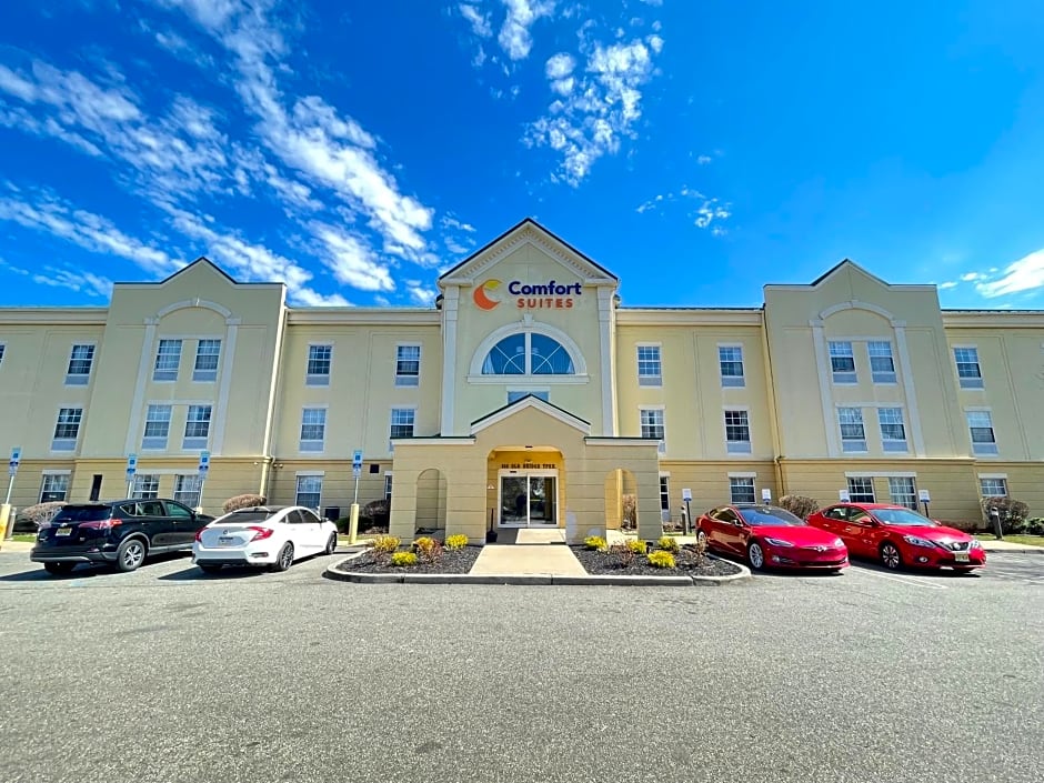 Comfort Suites East Brunswick - South River