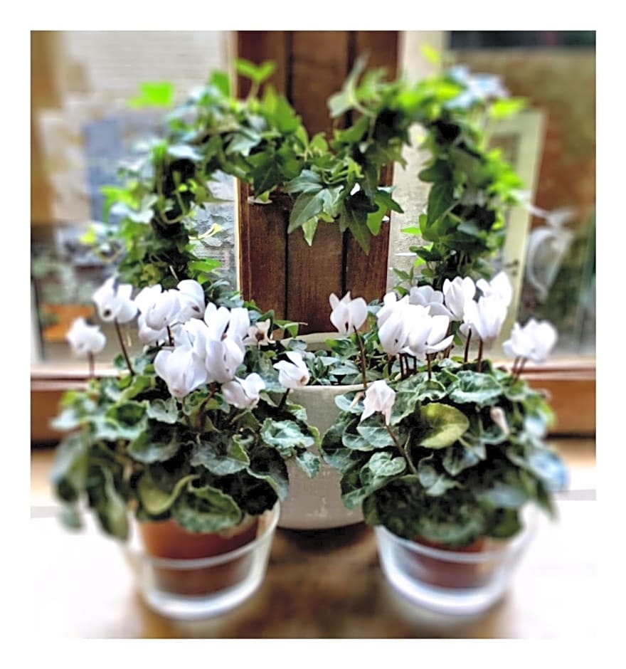 Villa Theresa à 25 min de PAIRI DAIZA