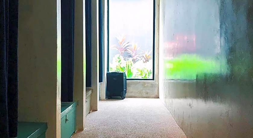 Beds In Garden Hostel