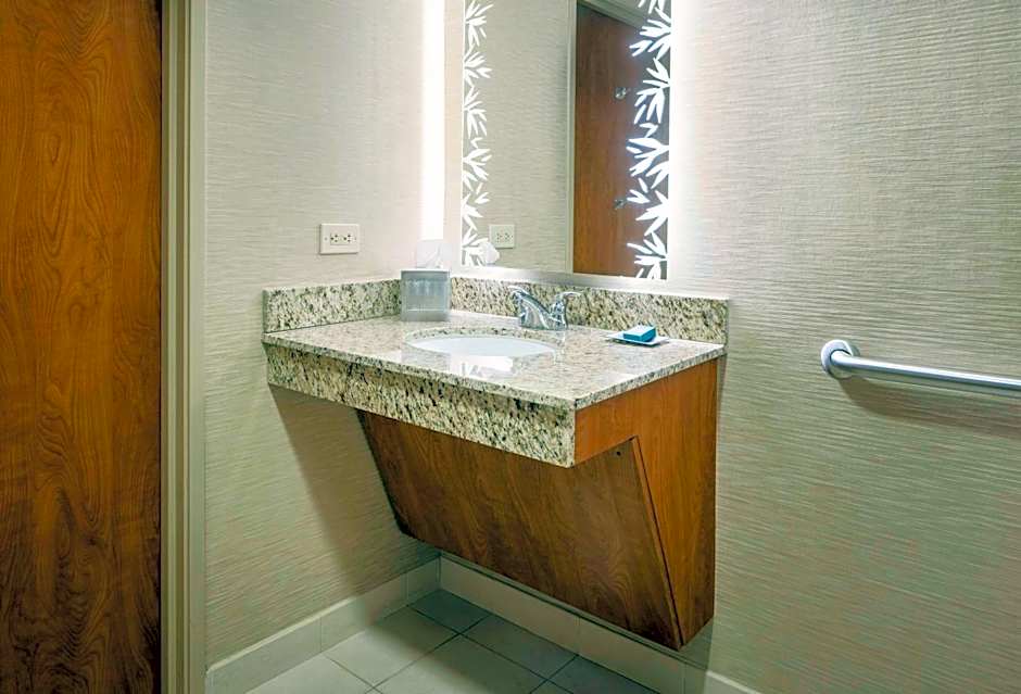 Hilton St. Petersburg Carillon Park