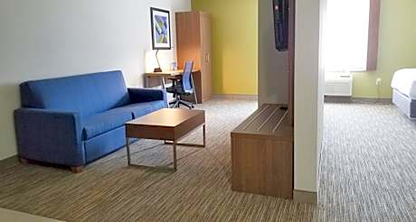 Suite - Mobility Access Roll in Shower/Non-Smoking