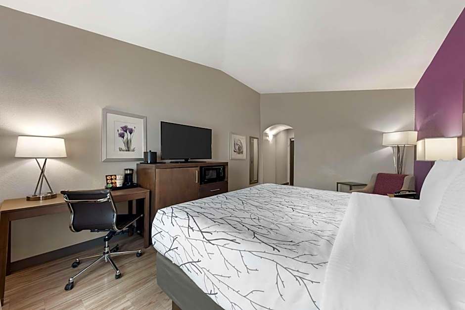 Best Western Plus Buda Austin Inn & Suites