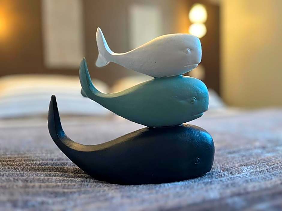 L'Acadie Brasserie Plage