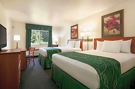 2 Queen Beds Mobility Accessible Room Non-Smoking