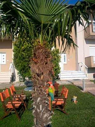 Hotel-Apartments La Strada