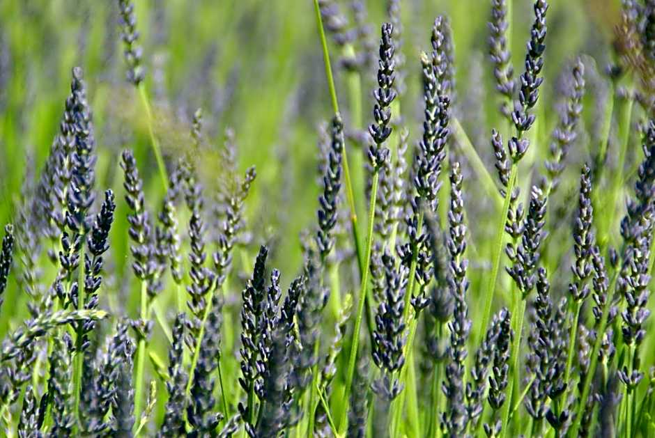 Logis Grand Hotel Bain