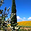 Le Palazze B&b