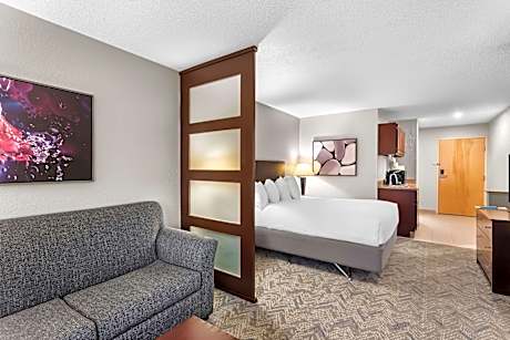 ACCESSIBLE - SUITE QUEEN BED,MOBACC,COMAST,BATHTB,MICRFG,SOFBD,NSMK,FULL BREAKFAST