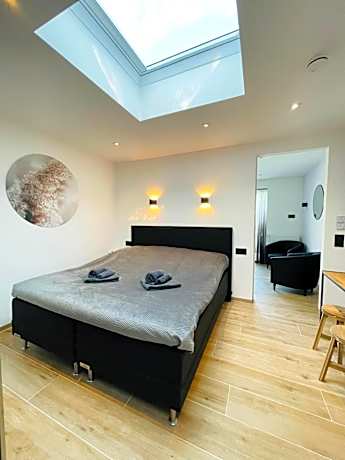 Junior Suite with Terrace