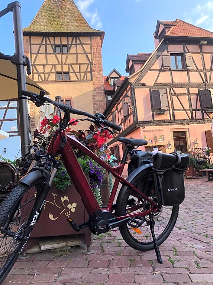 Hotel Arc-En-Ciel Colmar Contact Hotel