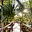 Pepem Eco Hotel Tulum at the Jungle