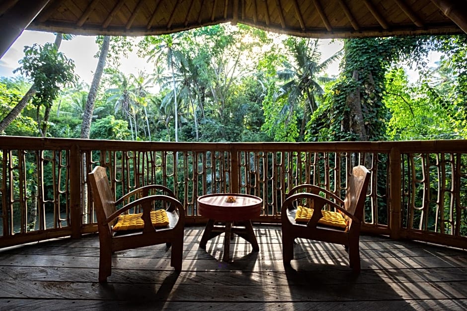 Bamboo Turtles Ecolodge