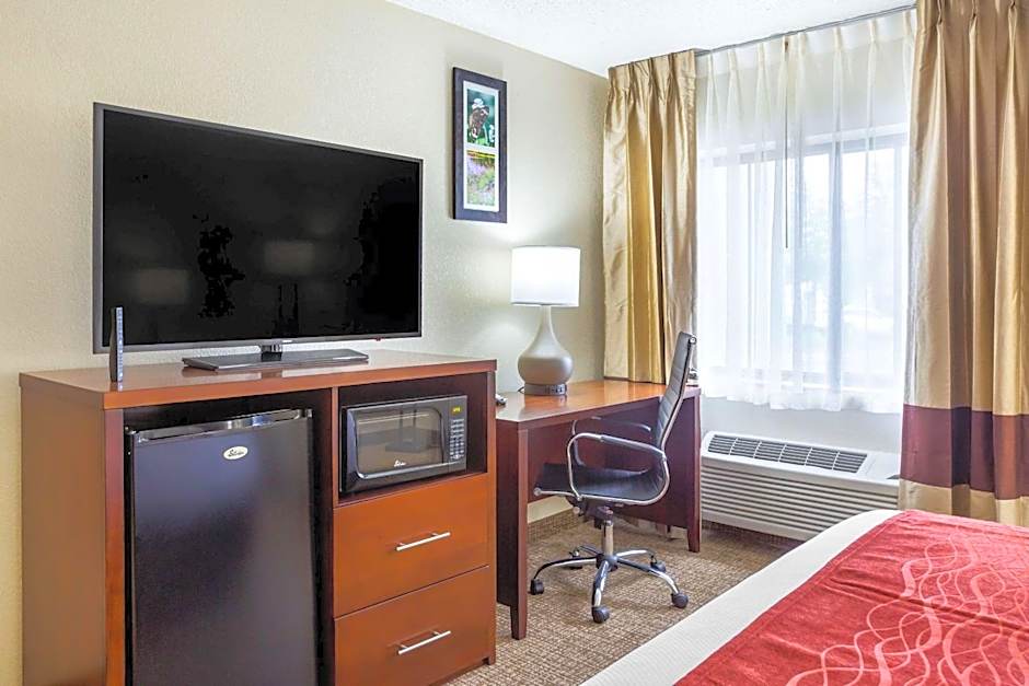 Comfort Inn Hoffman Estates - Schaumburg