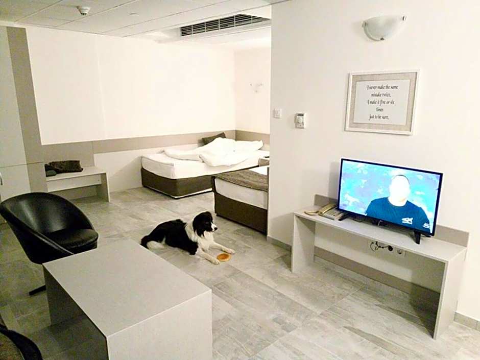 Photo 1 of 6 of Junior Suite, Pet-Friendly