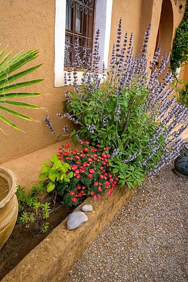 Auberge La Fibule Du Dades