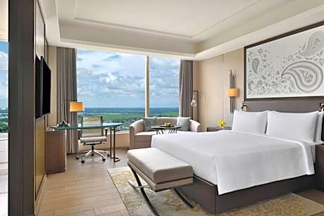 Deluxe King Guest Room