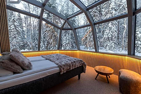 Glass Igloo Cottage