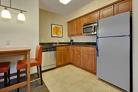 King Studio Suite with Sofa Bed