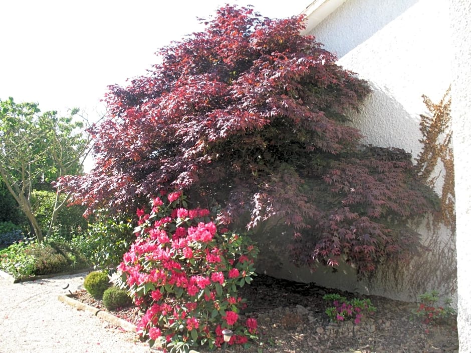 Chambres d'Hôtes Le Mûrier