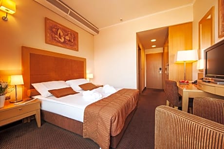 Special Offer - Economy Double Room with New Year's Package
