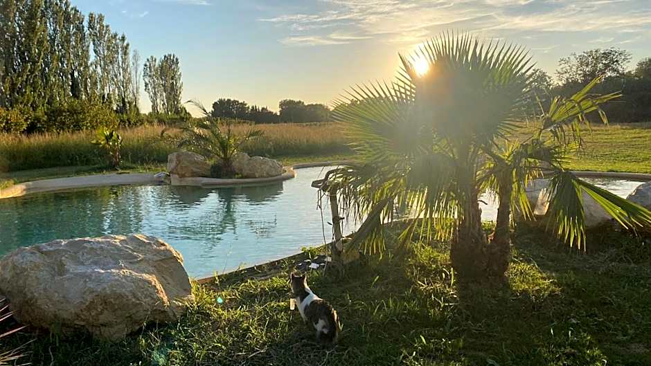 Le Mas des Cerisiers JACUZZI et SAUNA inclus pour tous les logements