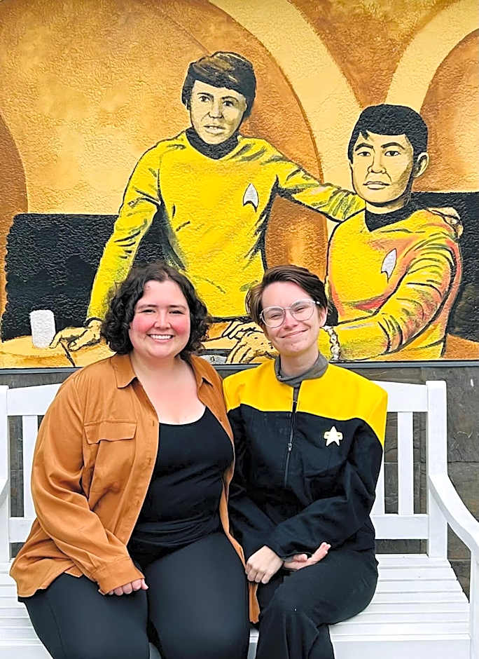 The Star Trek - USS Enterprise Room at the Itty Bitty Inn