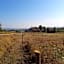 Ferme de la Combe