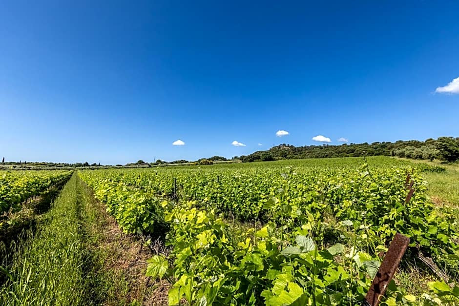 Domaine Des Escaunes