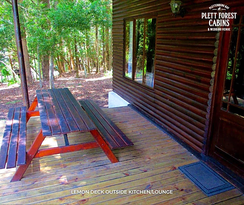 Plett Forest Cabins