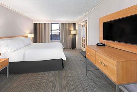 One-Bedroom King Suite