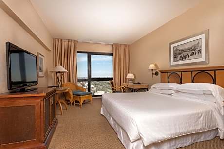 Guest room, 1 King, City view